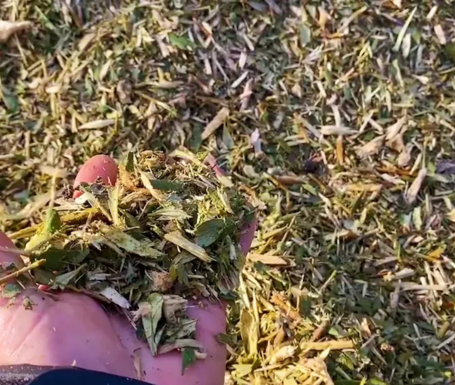 Biomasa para abonos y fertilizantes